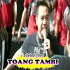 About Toang Tambi Song