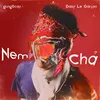 About Nem Chả Song