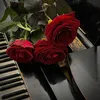 About Rose Song