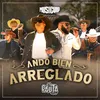 About Ando Bien Arreglado Song