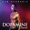 About Dopamine Song