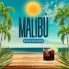 About Malibu Song