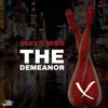 About The Demeanor Song