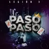 About Paso a Paso Song