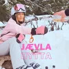 About Jævla hytta Song