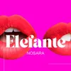 About Elefante Song