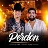 About Perdón Song