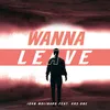 About Wanna Leave Song