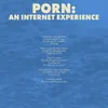 Porn: An Internet Experience