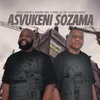 About Asvukeni Sozama Song