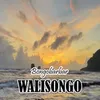 About Walisongo Song