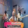 About Walisongo Song