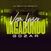 About Vem Fazer Vagabundo Gozar Song