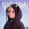 About Shut Down Song
