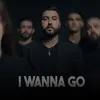 About I Wanna Go Song