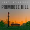 About Primrose Hill Song