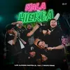 About Mala Hierba Song