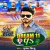 About Dream 11 Pa Song