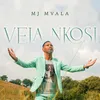 Vela Nkosi