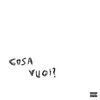 About cosa vuoi? Song