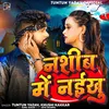 About Nashib Me Naikhu Song