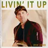 About Livin' It Up Song
