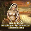 About Nee Pedhavi Meedhunna Puttumaccha Song