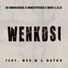 About Wenkosi Song