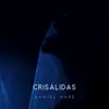 About Crisálidas Song