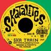 About Ska Train Song