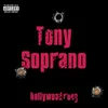 About Tony Soprano Song