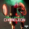About Chameleon Song