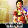About Pelletoori Pitta Song