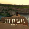 About Jit Fi Beli Song
