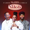 About Naledi Song