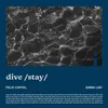 About dive /stay/ Song