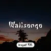 About Walisongo Song