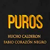 Puros