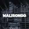 About Walisongo Song