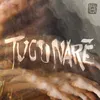 About tucunaré Song