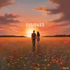 About Humdard Song