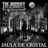 About Jaula de Cristal Song