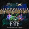 About El Buen Rafa Song