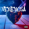 About Venenosa Song