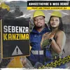 About Sebenza Kanzima Song