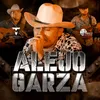 About Alejo Garza Song