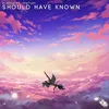 About Should Have Known Song