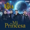 About Mi Princesa Song