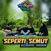 About Seperti Semut Song