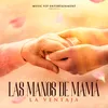 About Las Manos De Mamá Song